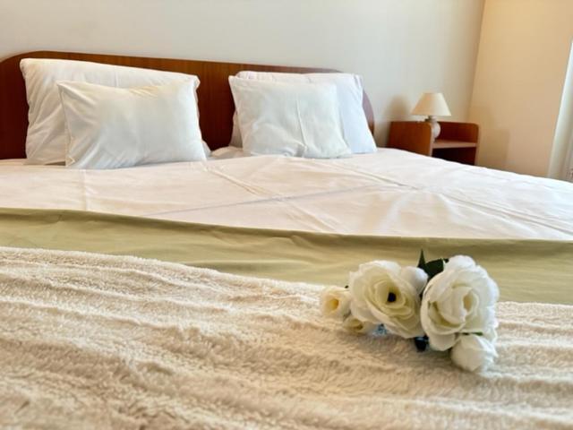 شقة Cozy Garden Apartman غيولا المظهر الخارجي الصورة