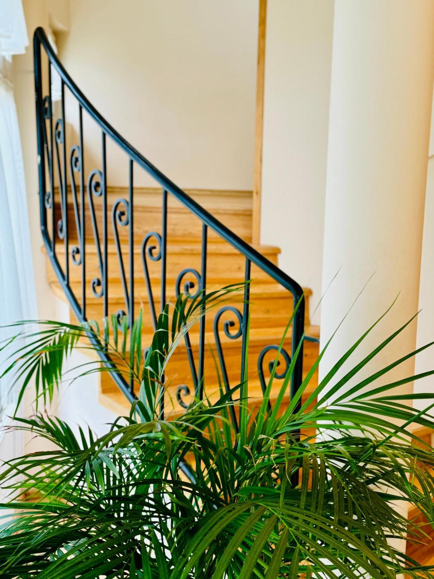 شقة Cozy Garden Apartman غيولا المظهر الخارجي الصورة