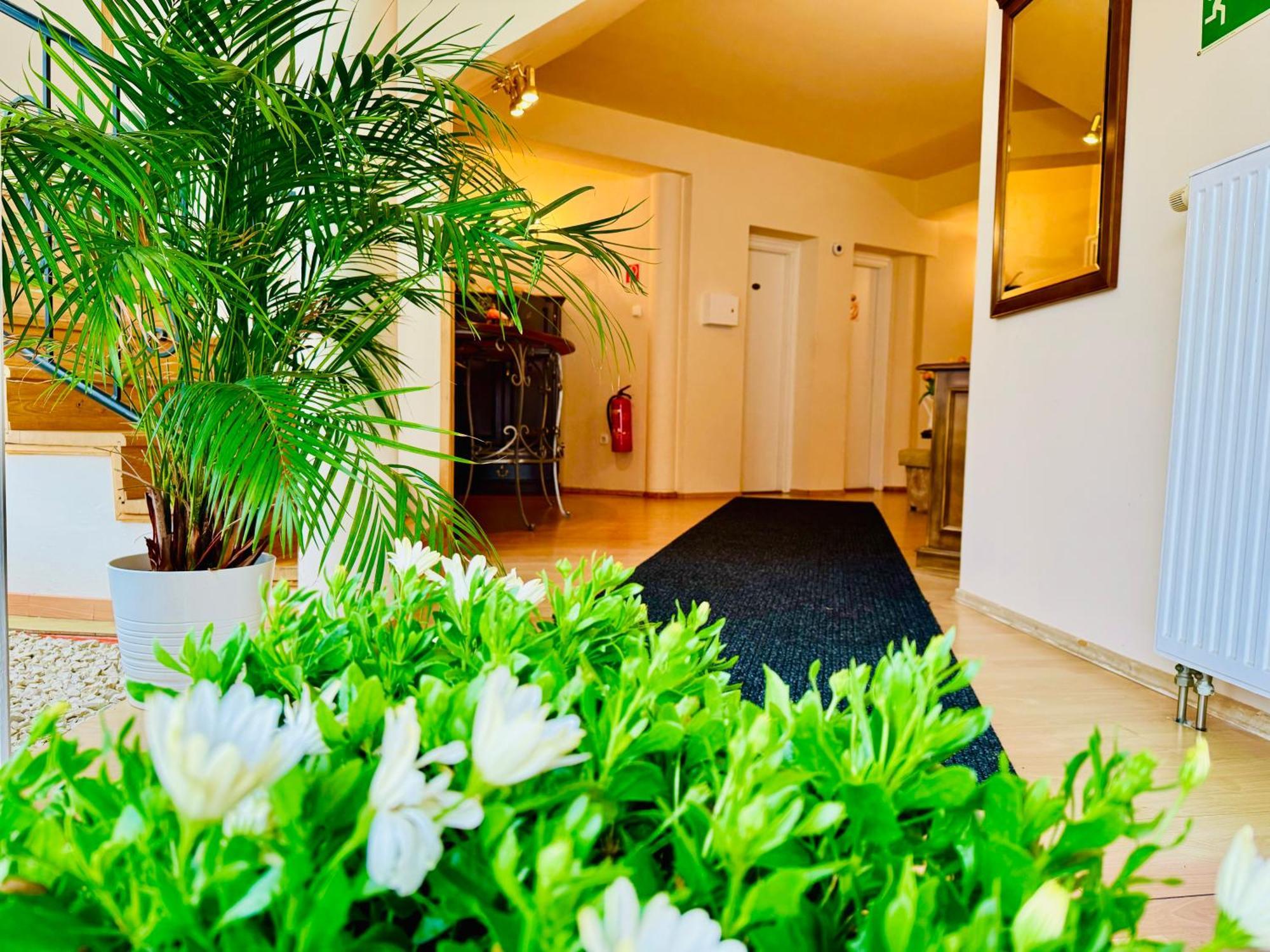 شقة Cozy Garden Apartman غيولا المظهر الخارجي الصورة